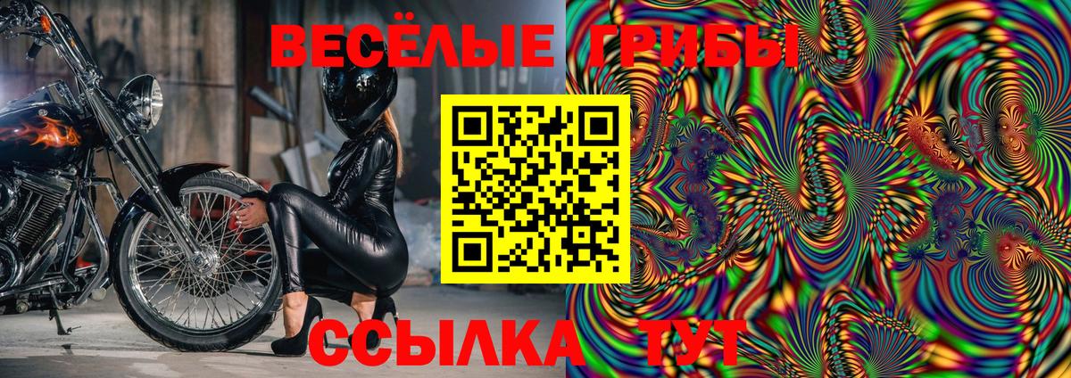 Псилоцибиновые грибы GOLDEN TEACHER Ипатово