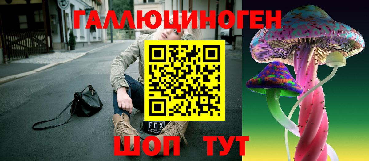 Ипатово  Псилоцибиновые грибы мухоморы  Вход с VPN 